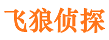 新干市私家侦探